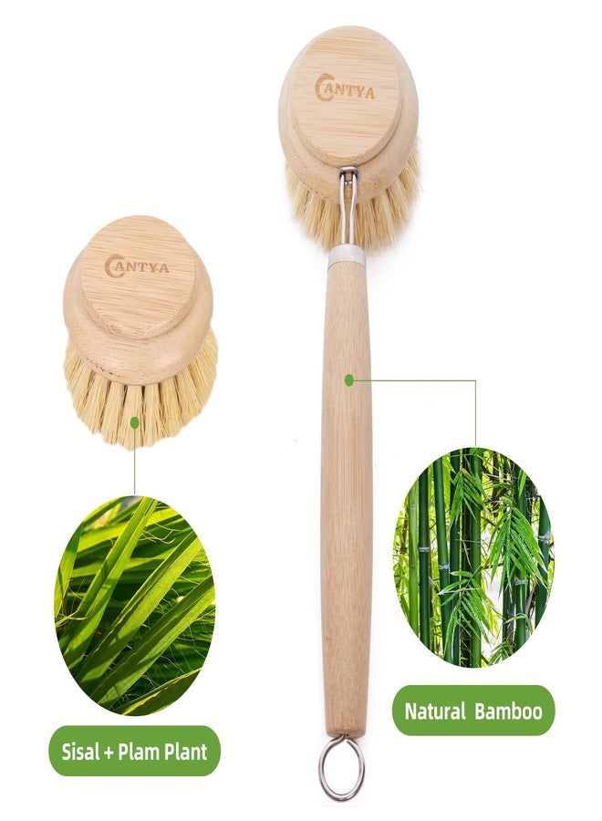 ANTYA Bamboo Dish Brush - Bamboo Dish Scrubber, Eco-Friendly and Biodegradable, Vegetable Brush Suitable for Cookware, Bowls and Plates, Non-Stick Pans(Soft Bristles) - Image 4